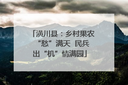 潢川县：乡村果农“愁”满天  民兵出“机”情满园
