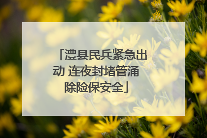 澧县民兵紧急出动 连夜封堵管涌除险保安全