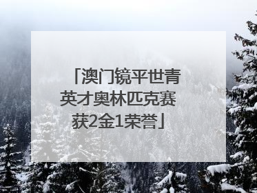 澳门镜平世青英才奥林匹克赛获2金1荣誉
