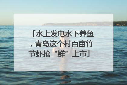 水上发电水下养鱼，青岛这个村百亩竹节虾抢“鲜”上市