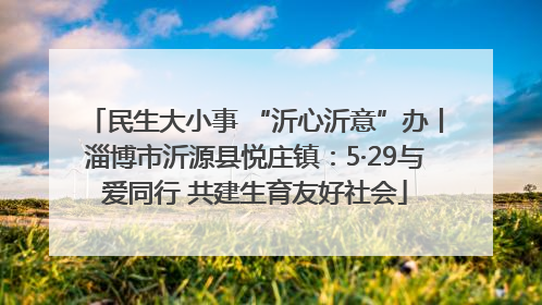 民生大小事 “沂心沂意”办丨淄博市沂源县悦庄镇：5·29与爱同行 共建生育友好社会