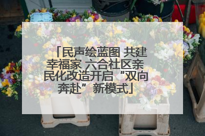 民声绘蓝图 共建幸福家 六合社区亲民化改造开启“双向奔赴”新模式