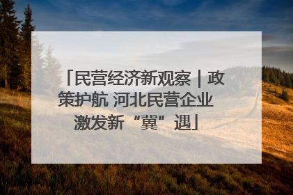 民营经济新观察｜政策护航 河北民营企业激发新“冀”遇