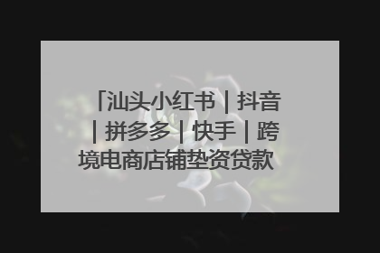 汕头小红书｜抖音｜拼多多｜快手｜跨境电商店铺垫资贷款企业-漫商易