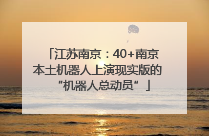 江苏南京：40+南京本土机器人上演现实版的“机器人总动员”
