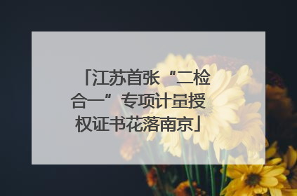 江苏首张“二检合一”专项计量授权证书花落南京