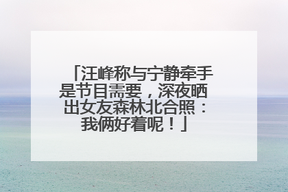 汪峰称与宁静牵手是节目需要，深夜晒出女友森林北合照：我俩好着呢！