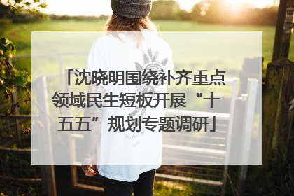 沈晓明围绕补齐重点领域民生短板开展“十五五”规划专题调研