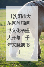沈阳市大东区首届晒书文化节盛大开幕：千年文脉遇书
