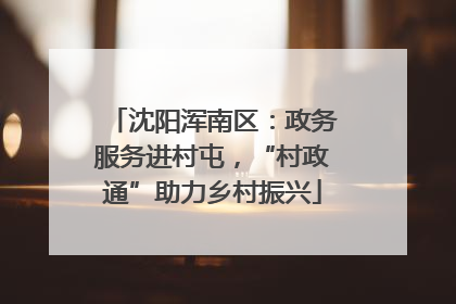 沈阳浑南区：政务服务进村屯，“村政通”助力乡村振兴