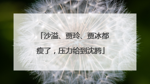 沙溢、贾玲、贾冰都瘦了，压力给到沈腾