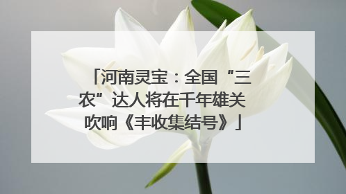 河南灵宝：全国“三农”达人将在千年雄关吹响《丰收集结号》