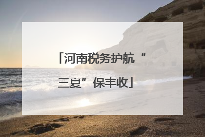 河南税务护航“三夏”保丰收