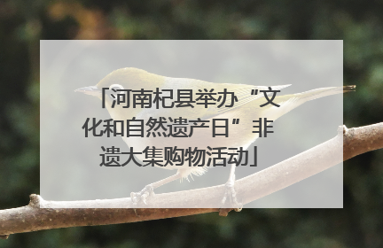 河南杞县举办“文化和自然遗产日”非遗大集购物活动