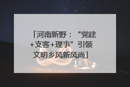 河南新野：“党建+支客+理事”引领文明乡风新风尚