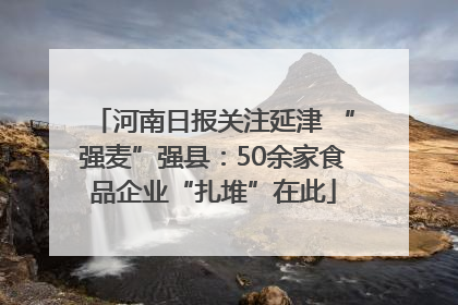 河南日报关注延津 “强麦”强县：50余家食品企业“扎堆”在此