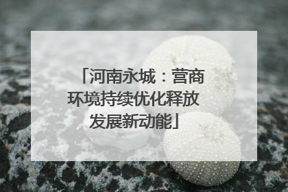 河南永城：营商环境持续优化释放发展新动能