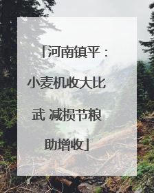 河南镇平：小麦机收大比武 减损节粮助增收