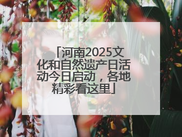 河南2025文化和自然遗产日活动今日启动，各地精彩看这里