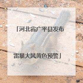 河北省广平县发布雷暴大风黄色预警