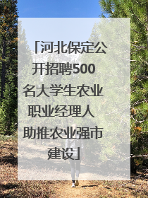 河北保定公开招聘500名大学生农业职业经理人 助推农业强市建设
