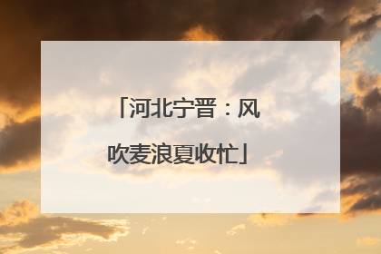 河北宁晋：风吹麦浪夏收忙