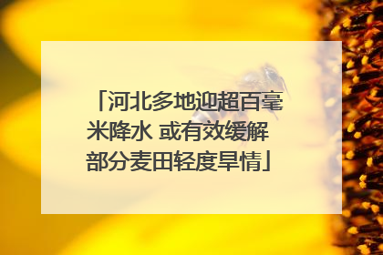 河北多地迎超百毫米降水 或有效缓解部分麦田轻度旱情