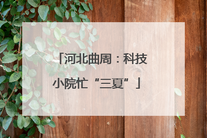 河北曲周：科技小院忙“三夏”