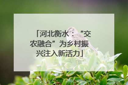 河北衡水：“交农融合”为乡村振兴注入新活力