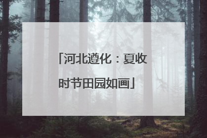 河北遵化：夏收时节田园如画