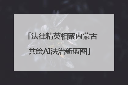 法律精英相聚内蒙古 共绘AI法治新蓝图