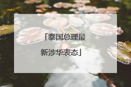 泰国总理最新涉华表态