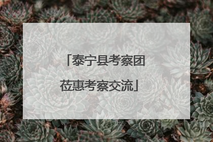 泰宁县考察团莅惠考察交流