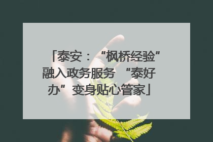 泰安：“枫桥经验”融入政务服务 “泰好办”变身贴心管家