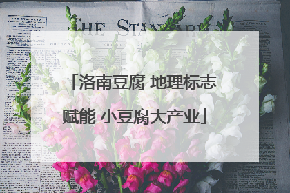 洛南豆腐 地理标志赋能 小豆腐大产业