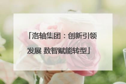 洛轴集团：创新引领发展 数智赋能转型
