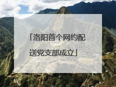 洛阳首个网约配送党支部成立