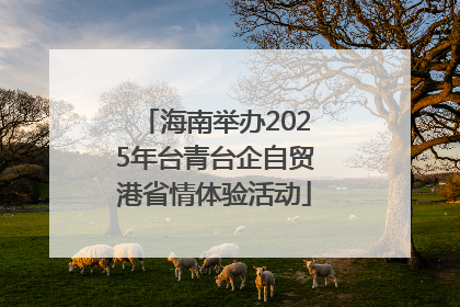 海南举办2025年台青台企自贸港省情体验活动