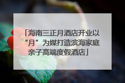 海南三正月酒店开业以“月”为媒打造滨海家庭亲子高端度假酒店