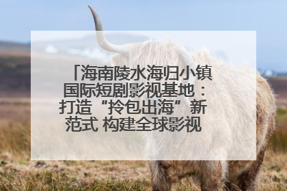 海南陵水海归小镇国际短剧影视基地：打造“拎包出海”新范式 构建全球影视产业“新热土”