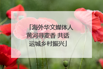 海外华文媒体人黄河寻麦香 共话运城乡村振兴