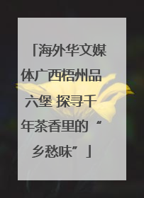 海外华文媒体广西梧州品六堡 探寻千年茶香里的“乡愁味”