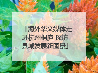 海外华文媒体走进杭州桐庐 探访县域发展新图景