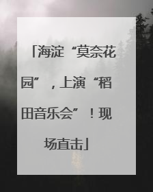 海淀“莫奈花园”，上演“稻田音乐会”！现场直击