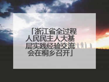 浙江省全过程人民民主人大基层实践经验交流会在桐乡召开