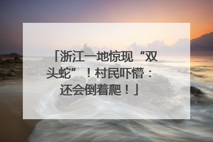 浙江一地惊现“双头蛇”！村民吓懵：还会倒着爬！
