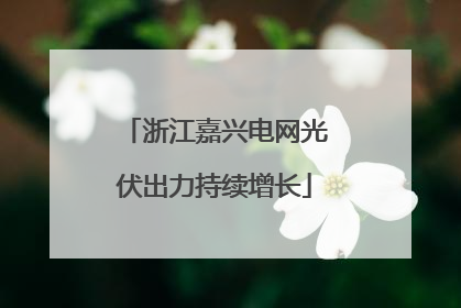 浙江嘉兴电网光伏出力持续增长