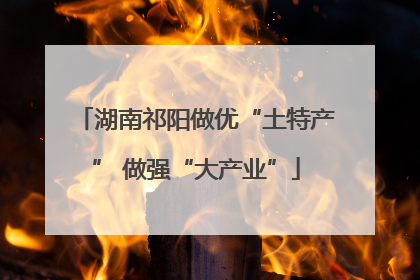 湖南祁阳做优“土特产” 做强“大产业”