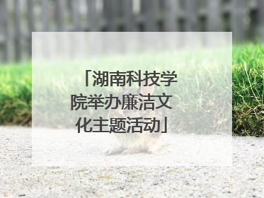 湖南科技学院举办廉洁文化主题活动