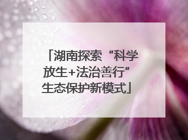 湖南探索“科学放生+法治善行”生态保护新模式
